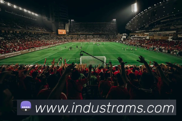 奖项证书